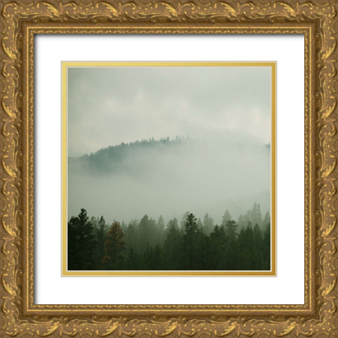Verdant Country I Gold Ornate Wood Framed Art Print with Double Matting by Robinson, Carol