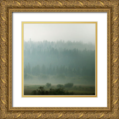 Lodge Country I Gold Ornate Wood Framed Art Print with Double Matting by Robinson, Carol