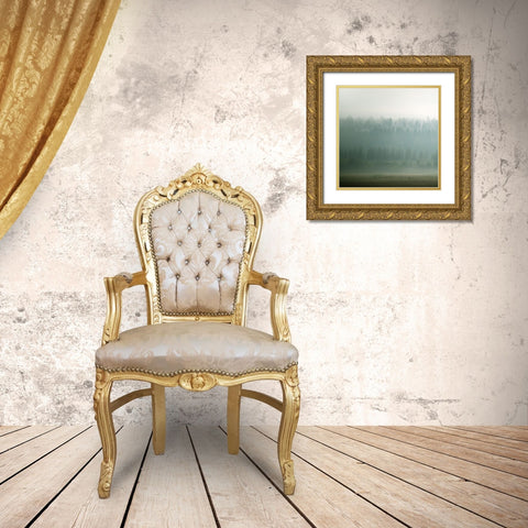 Lodge Country II Gold Ornate Wood Framed Art Print with Double Matting by Robinson, Carol