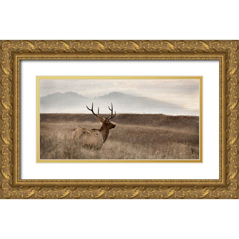 Now You See Me Gold Ornate Wood Framed Art Print with Double Matting by Delimont, Danita