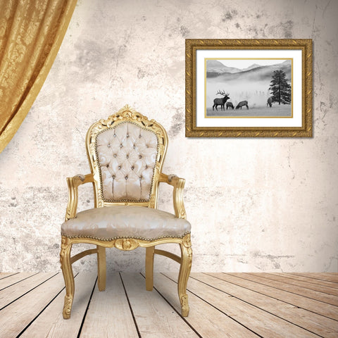 Mountain Elk Gold Ornate Wood Framed Art Print with Double Matting by Delimont, Danita