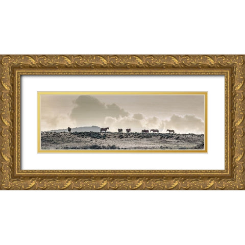 Wild Horse Ridge Gold Ornate Wood Framed Art Print with Double Matting by Delimont, Danita
