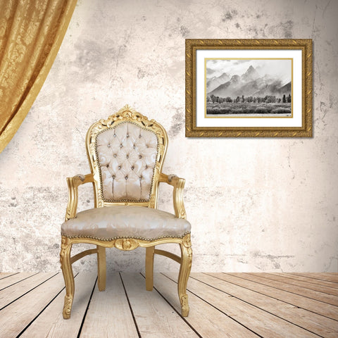 Teton Range Gold Ornate Wood Framed Art Print with Double Matting by Delimont, Danita