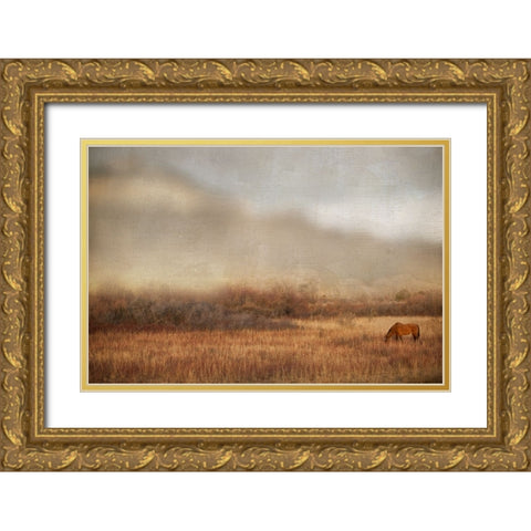 Grazing at Sunset Gold Ornate Wood Framed Art Print with Double Matting by Delimont, Danita