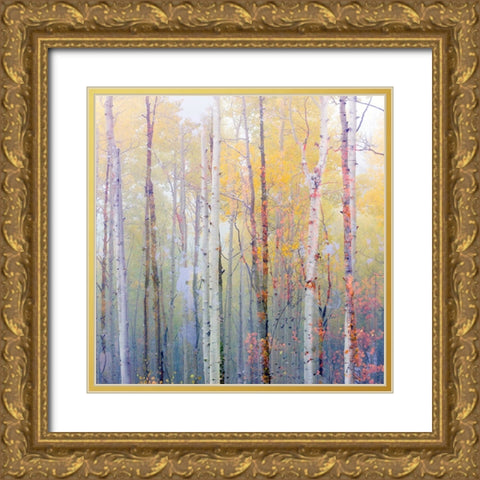 Foggy Aspen Gold Ornate Wood Framed Art Print with Double Matting by Delimont, Danita