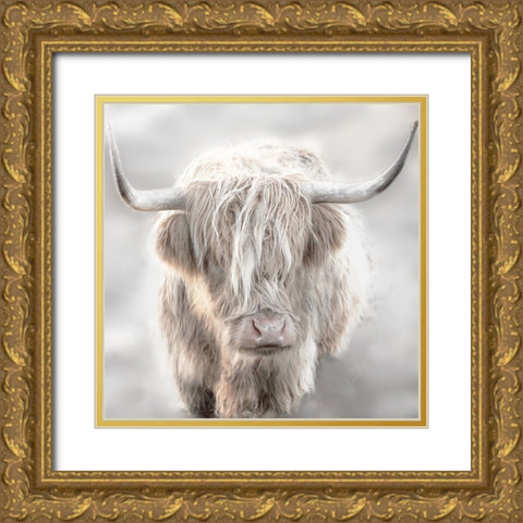 Soft Solo Highland Gold Ornate Wood Framed Art Print with Double Matting by Delimont, Danita