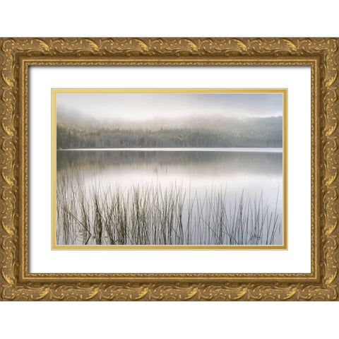 Lake Fog Gold Ornate Wood Framed Art Print with Double Matting by Delimont, Danita