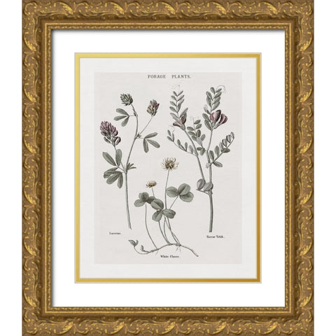 Multi Botanical I Gold Ornate Wood Framed Art Print with Double Matting by Donovan, Kelly