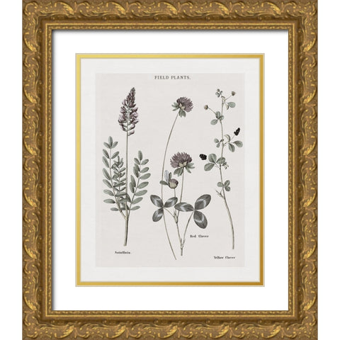 Multi Botanical II Gold Ornate Wood Framed Art Print with Double Matting by Donovan, Kelly
