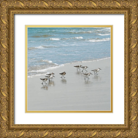 Sandpiper Shore I Gold Ornate Wood Framed Art Print with Double Matting by Carpentieri, Natalie