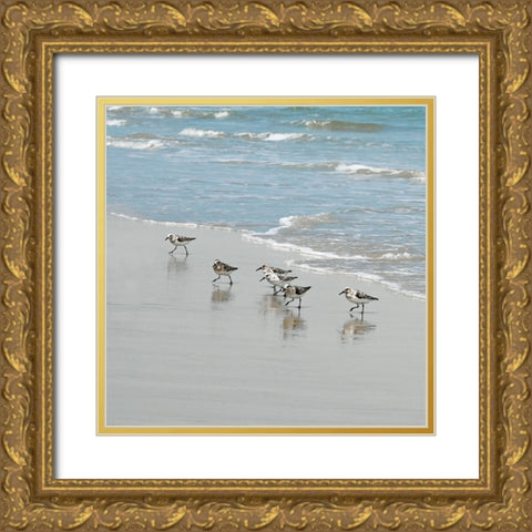 Sandpiper Shore II Gold Ornate Wood Framed Art Print with Double Matting by Carpentieri, Natalie