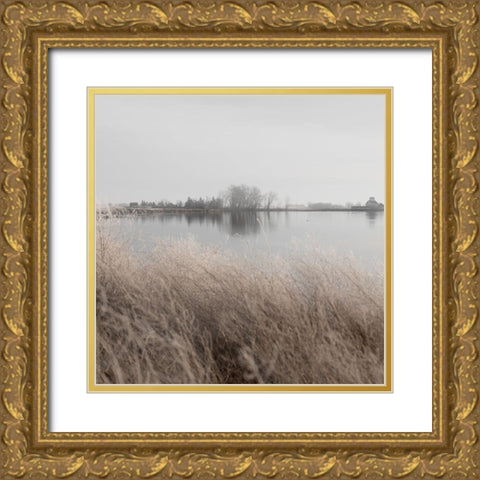Distant Farm Gold Ornate Wood Framed Art Print with Double Matting by Robinson, Carol
