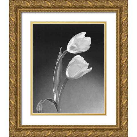 Tulip Duo Gold Ornate Wood Framed Art Print with Double Matting by Stefanich, Dick and Diane
