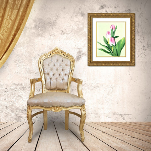 Three Tulips Gold Ornate Wood Framed Art Print with Double Matting by Segrest, Jane