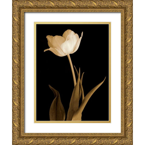 Splendid Beauty Gold Ornate Wood Framed Art Print with Double Matting by Britt, Charles