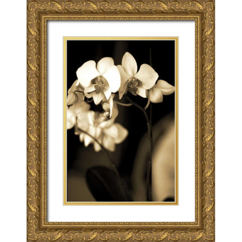 Exotic Blooms Gold Ornate Wood Framed Art Print with Double Matting by Ryan, Cinzia