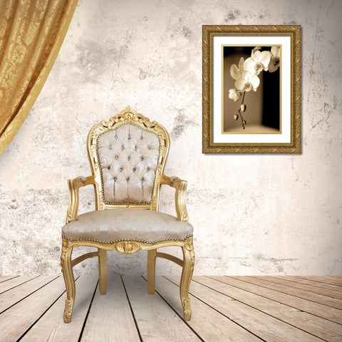 Exotic Blooms Gold Ornate Wood Framed Art Print with Double Matting by Ryan, Cinzia