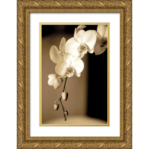 Exotic Blooms Gold Ornate Wood Framed Art Print with Double Matting by Ryan, Cinzia