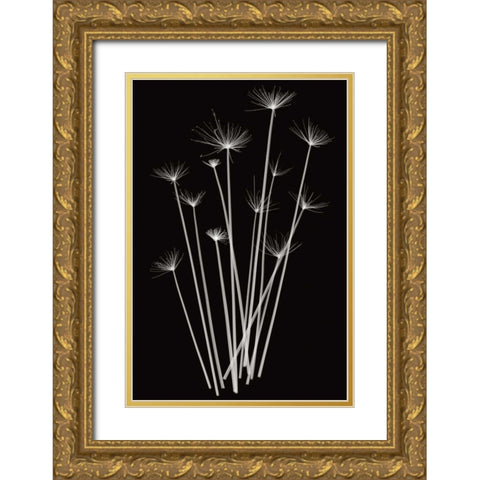 Three Rushes Gold Ornate Wood Framed Art Print with Double Matting by Wehtje, Jim