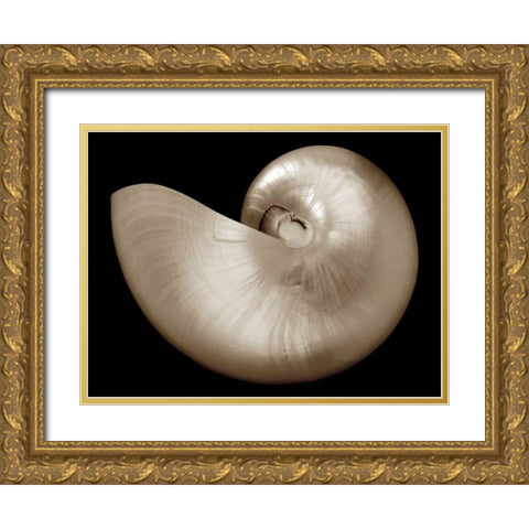 Ocean Keepsake I Gold Ornate Wood Framed Art Print with Double Matting by Britt, Charles