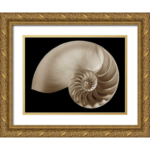 Ocean Keepsake II Gold Ornate Wood Framed Art Print with Double Matting by Britt, Charles