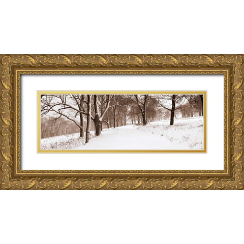 First Snow I Gold Ornate Wood Framed Art Print with Double Matting by Sleeper, Mike