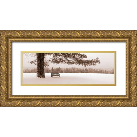 First Snow II Gold Ornate Wood Framed Art Print with Double Matting by Sleeper, Mike