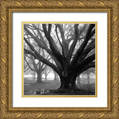 Oak Grove, Winter Gold Ornate Wood Framed Art Print with Double Matting by Guion, William