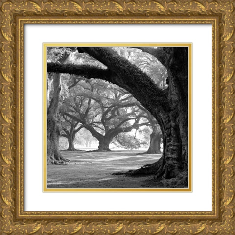 Oak Alley, West Row Gold Ornate Wood Framed Art Print with Double Matting by Guion, William