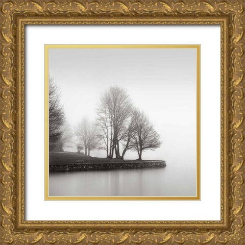 Fog and Trees at Dusk Gold Ornate Wood Framed Art Print with Double Matting by LSH
