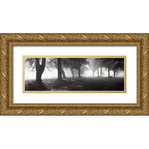 Translucence Gold Ornate Wood Framed Art Print with Double Matting by Sleeper, Mike
