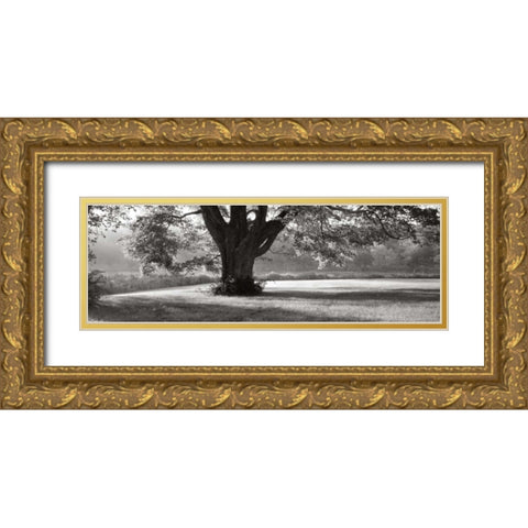 Ascendancy) Gold Ornate Wood Framed Art Print with Double Matting by Sleeper, Mike