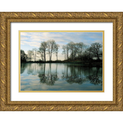 Frozen Reflection Gold Ornate Wood Framed Art Print with Double Matting by Harris, Derek