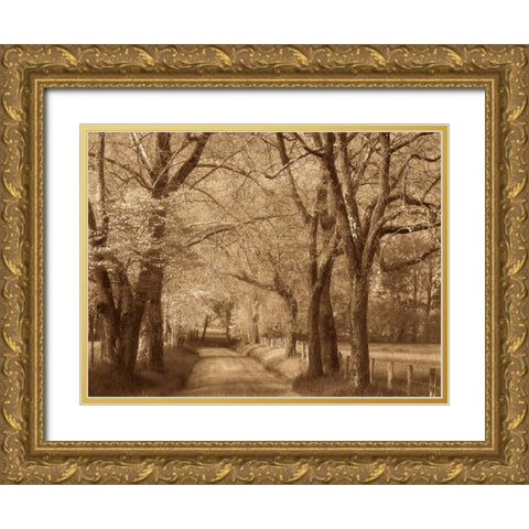 Smokies Road Gold Ornate Wood Framed Art Print with Double Matting by Caro, Wendy