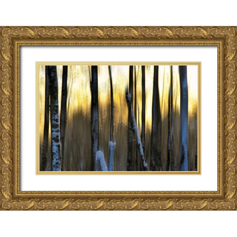 The Forest at Dawn Gold Ornate Wood Framed Art Print with Double Matting by Pelkey, Marvin