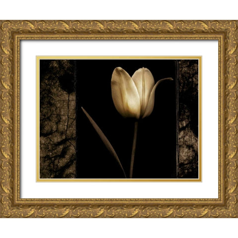 White Tulipa I Gold Ornate Wood Framed Art Print with Double Matting by Filler, Rick