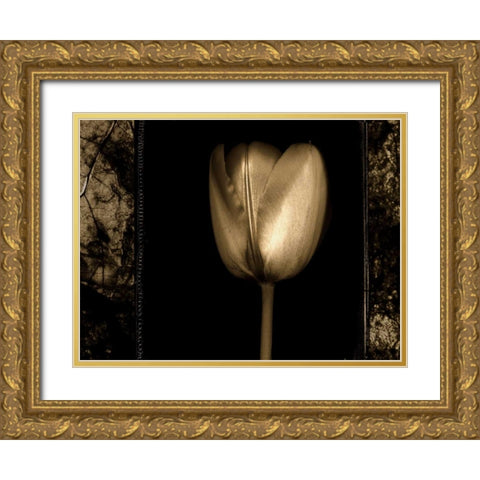 White Tulipa II Gold Ornate Wood Framed Art Print with Double Matting by Filler, Rick