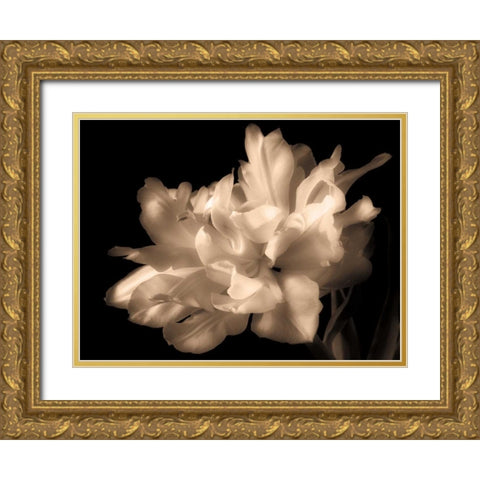 Double Dappled I Gold Ornate Wood Framed Art Print with Double Matting by Britt, Charles