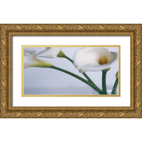 Springplicity I Gold Ornate Wood Framed Art Print with Double Matting by Ryan, Cinzia