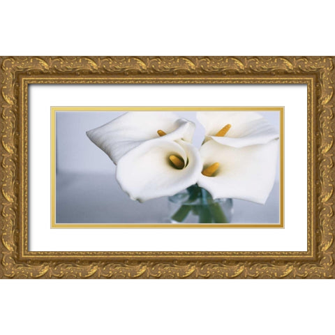 Springplicity II Gold Ornate Wood Framed Art Print with Double Matting by Ryan, Cinzia