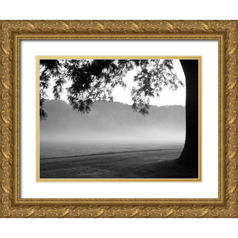 Fog in the Park I Gold Ornate Wood Framed Art Print with Double Matting by Bydlo, Gary
