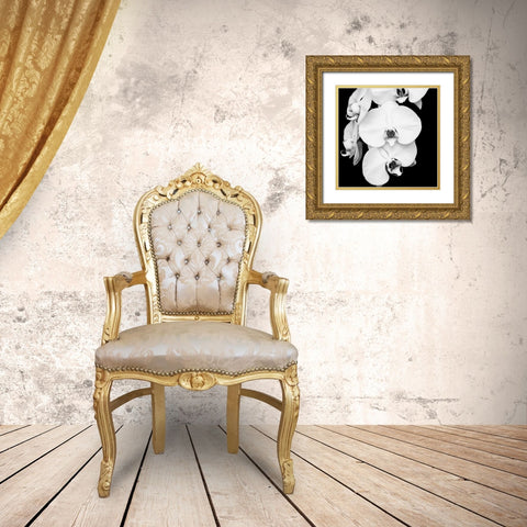 Orchid Portrait I Gold Ornate Wood Framed Art Print with Double Matting by Maihara, Jeff