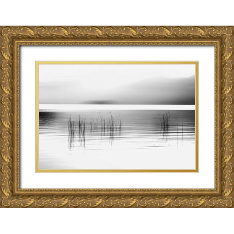 Tranquil Dawn Gold Ornate Wood Framed Art Print with Double Matting by Pelkey, Marvin