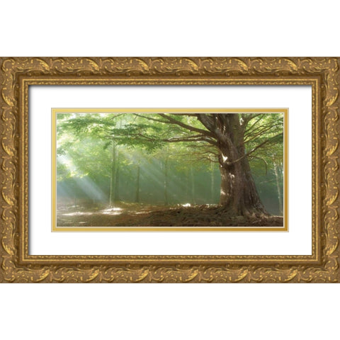 Lights Gold Ornate Wood Framed Art Print with Double Matting by Vila , Toni
