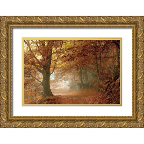 Autumn Dream Gold Ornate Wood Framed Art Print with Double Matting by Vila , Toni