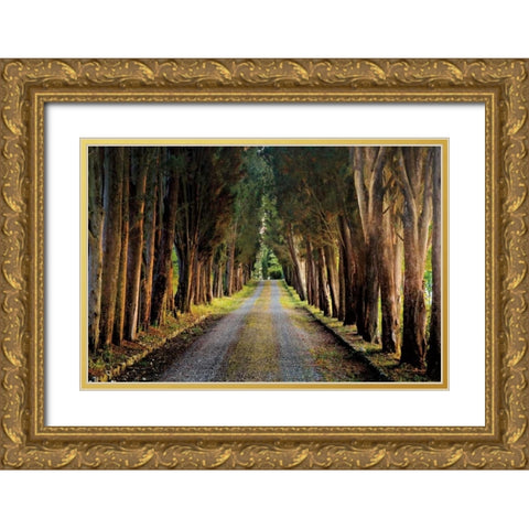 Tree Tunnel Gold Ornate Wood Framed Art Print with Double Matting by Cahill, Michael
