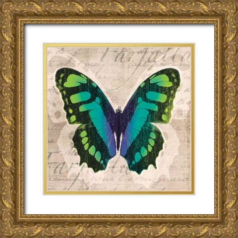 Butterflies II Gold Ornate Wood Framed Art Print with Double Matting by Venter, Tandi