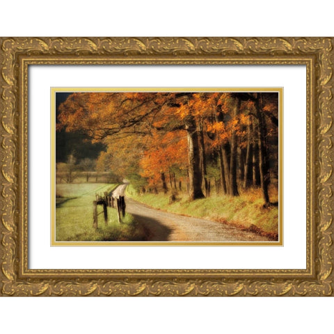 Autumns Morning Light Gold Ornate Wood Framed Art Print with Double Matting by Burt, D.
