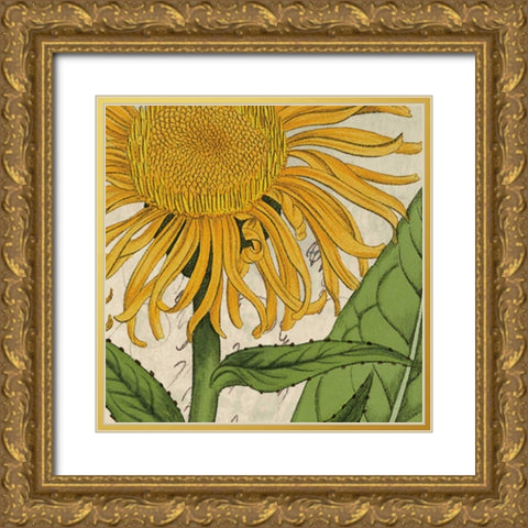 Joyful Bloom I Gold Ornate Wood Framed Art Print with Double Matting by Berg, Sabine