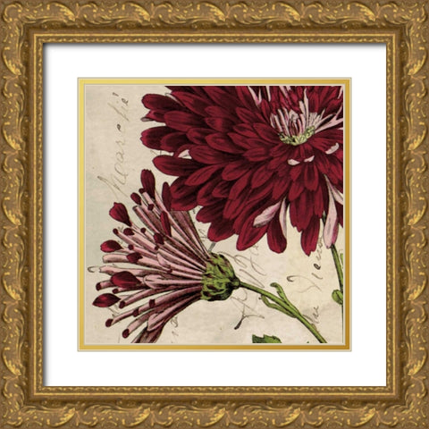 Joyful Bloom II Gold Ornate Wood Framed Art Print with Double Matting by Berg, Sabine